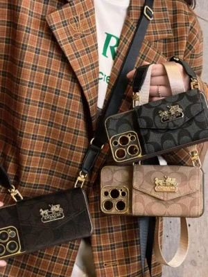 C series Phone case C002/Accorion card holder(subject to the video)