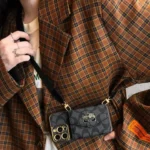 C series Phone case C002/Accorion card holder(subject to the video)